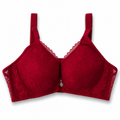 ستيان دانتيل بكمر  عريض | Lace Bra with Wide Sheer Band